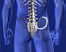 Spine Surgeries