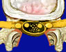 Spine Surgeries